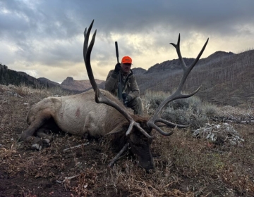 Sns Wyoming Wilderness Elk 2026 10.jpg